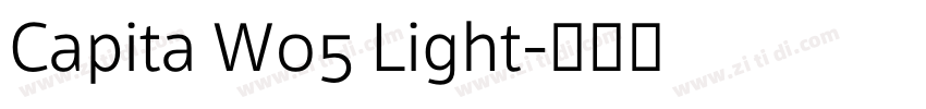 Capita W05 Light字体转换